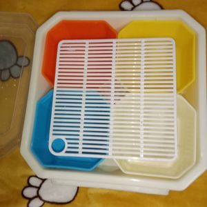 Serving Box/Tray