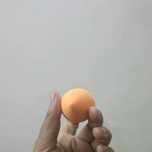 Real Technique Miracle Sponge M2230