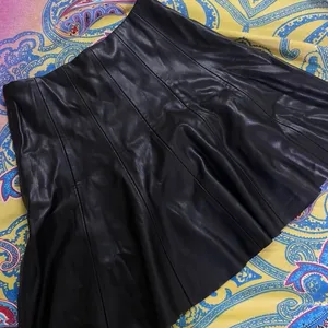 Zara Mini Leather Skirt