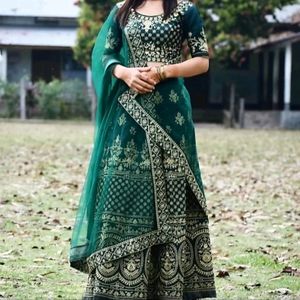 Lehnga Choli Dark Green