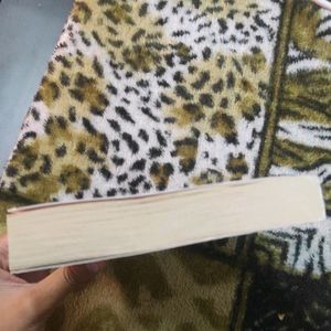 Normal People Novel