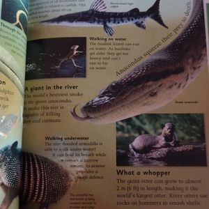 Nature Encyclopedia