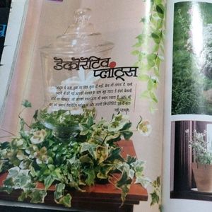 Magzine Meri Seheli And Good Home Maker