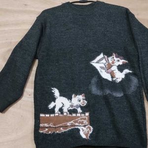 Combo Woolen Sweatshirt N sweater