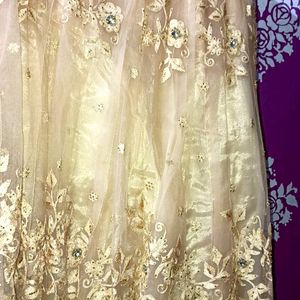 Selling The Amazing Lehenga