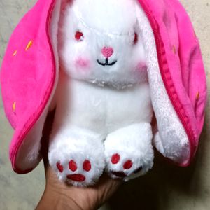 Bunny New Toys