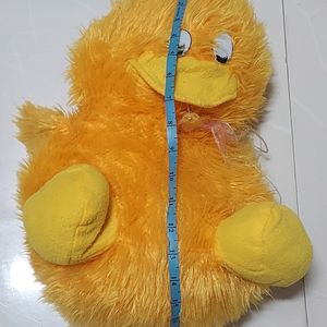 Yellow Teddy Bear