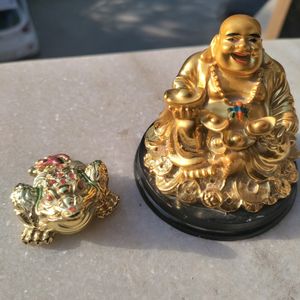 Combo Of Coins Laughing Budha And Wealth Tortoise