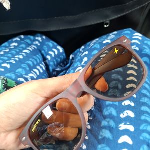 Beautiful Brown Sunglasses