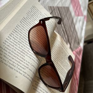 Brown Unisex Shades