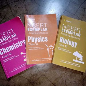 NCERT EXAMPLAR CLASS 11