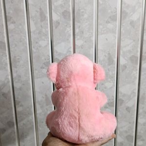 Pink Teddy