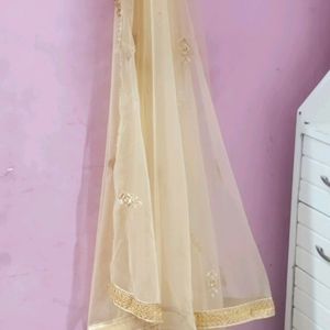 Women Velvet Gown And Dupatta