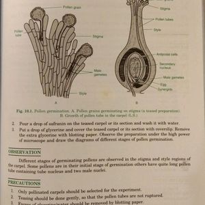 COMPREHENSIVE-Biology Lab Manual(CBSE-12th)