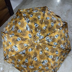 Brand New Umbrella For Sale Golden N Black