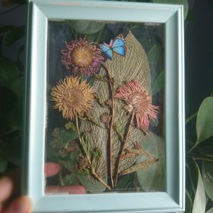 Handmade framed hanging dry Pressed Flower