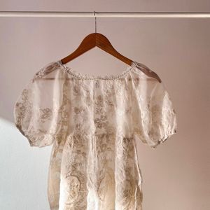 Puff Sleeved Lace Embroidery Sheer Top