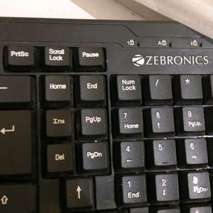 Zebronics Keyboard