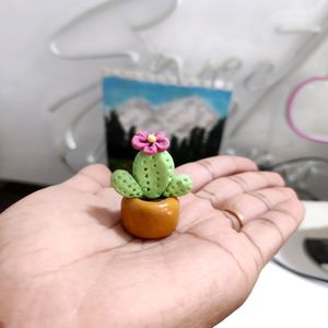 Mini Cactus Plant