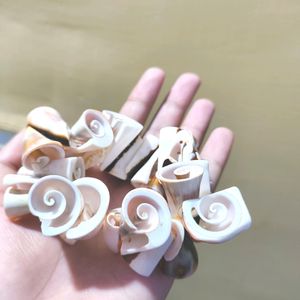 Sea Shell Braceket For Women