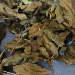 Dry Mehendi Leaves