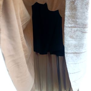 Velvet Dusk Nude Gold Skirt