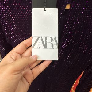 Zara Shimmery Velvet Dress