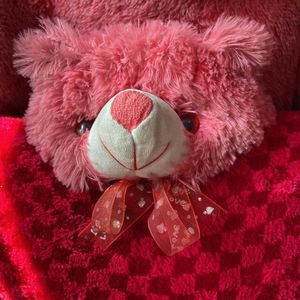 Cute Aestheitc Pink Teddy Bear!