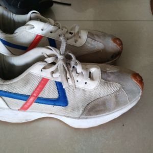 Sport Shoes