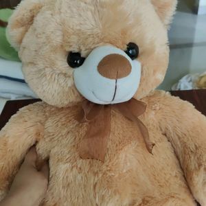 Teddy Bear (80cm)