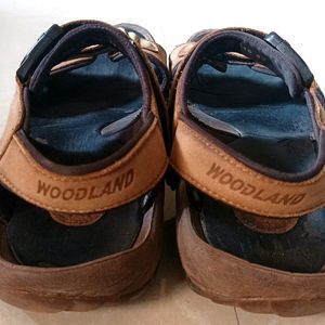 Woodland Brown Men's Sandals