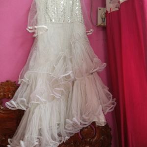 Light Colour Beautiful Full Length Net Barby Gown