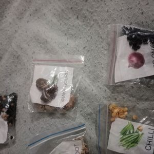 5 Vegetable Seeds