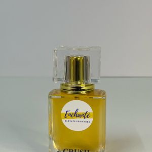 Luxury Brand Inspired perfume - 30ml (for her)