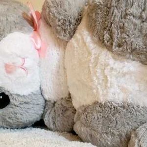 Bunny Plushie