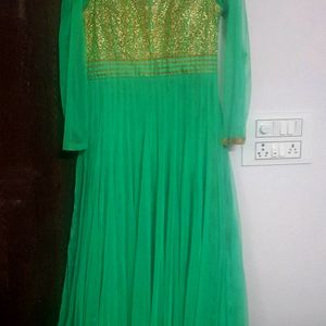 Beautiful Lite Green Colour Ethinc Gown