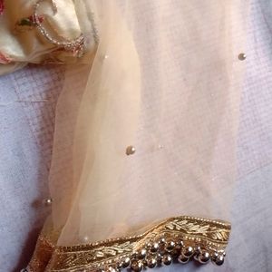 Lehenga ( Padded Blouse)