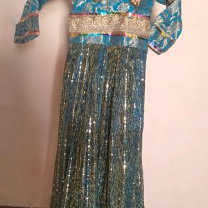 Moonlight Beautiful Banarasi Gown