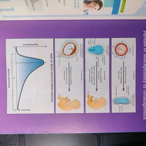 LANGMAN HUMAN EMBRYOLOGY