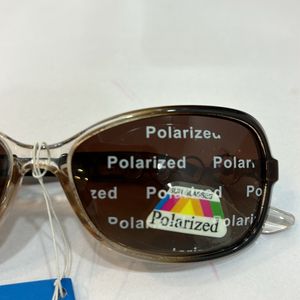 Brown Stylist Polarized Sunglass