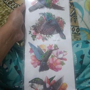 Bird Stickers