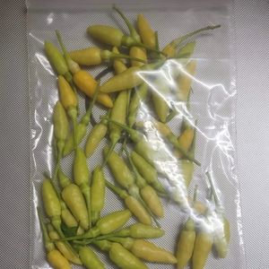 Bird Eye Chilli (Kanthari Mulaku)- Homegrown