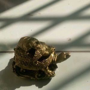 Lucky Tortoise Showpiece