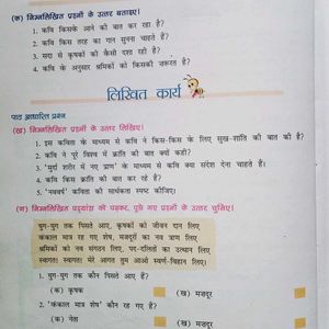 Hindi Book Class - 8