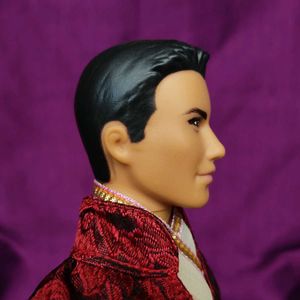 Indian Ken Doll