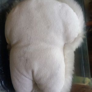 Soft Toy  Rabbit