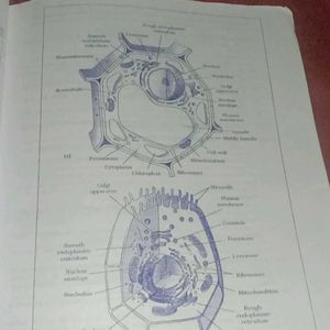 MOMENTUM All Physics Chemistry Botany Neet Book