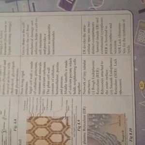 Biology Help Book