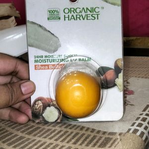 100% Organic Harvest Lipbalm