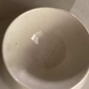 Ceramic Dog Bowl With Free Matt